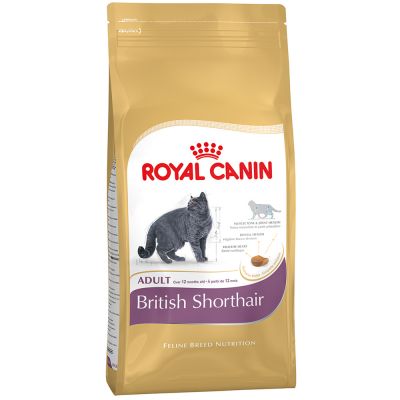 61312_PLA_rgb_Royal_Canin_British_Shorthair_6